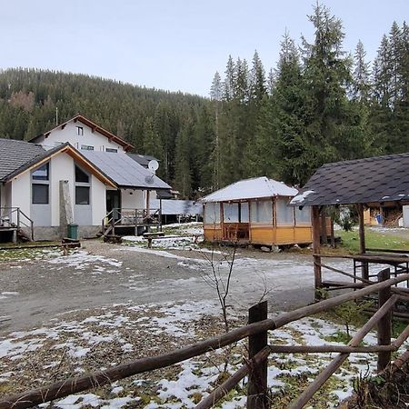 Complex Transalpina Lac Voineasa Zewnętrze zdjęcie