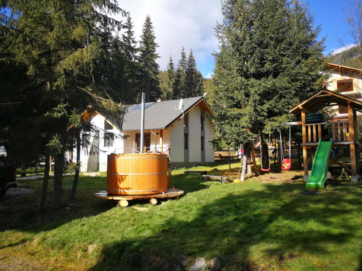 Complex Transalpina Lac Voineasa Zewnętrze zdjęcie
