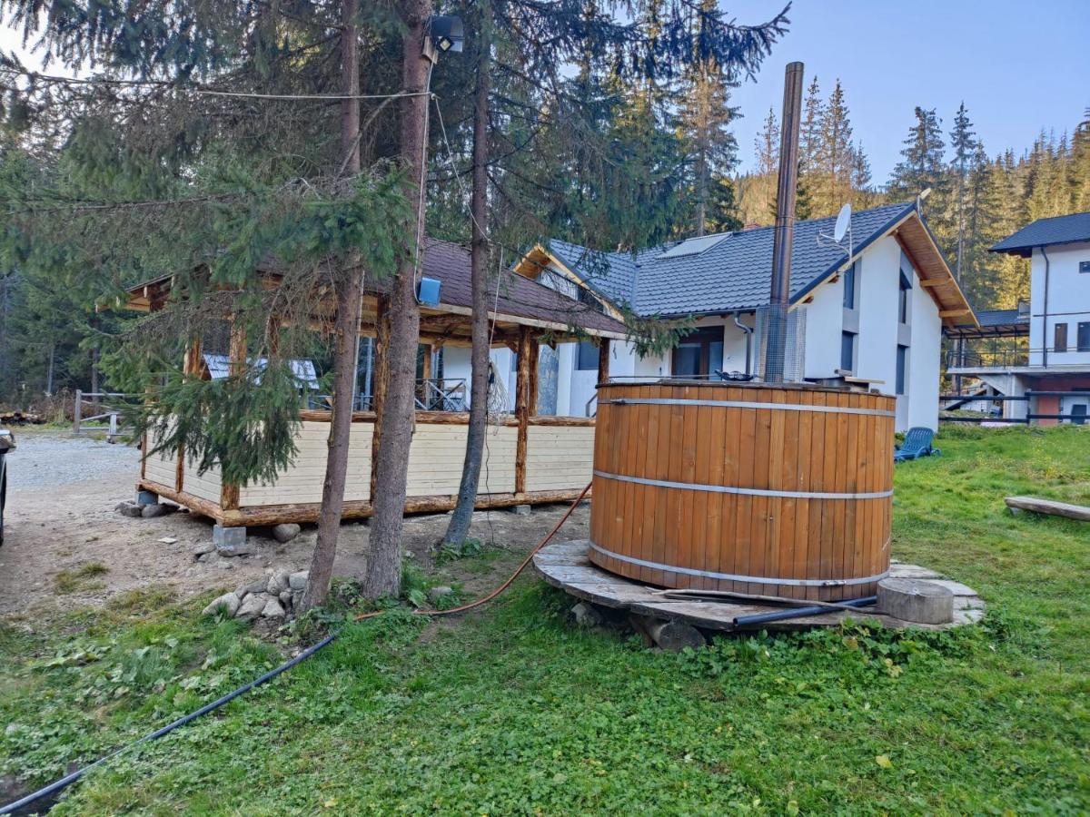 Complex Transalpina Lac Voineasa Zewnętrze zdjęcie