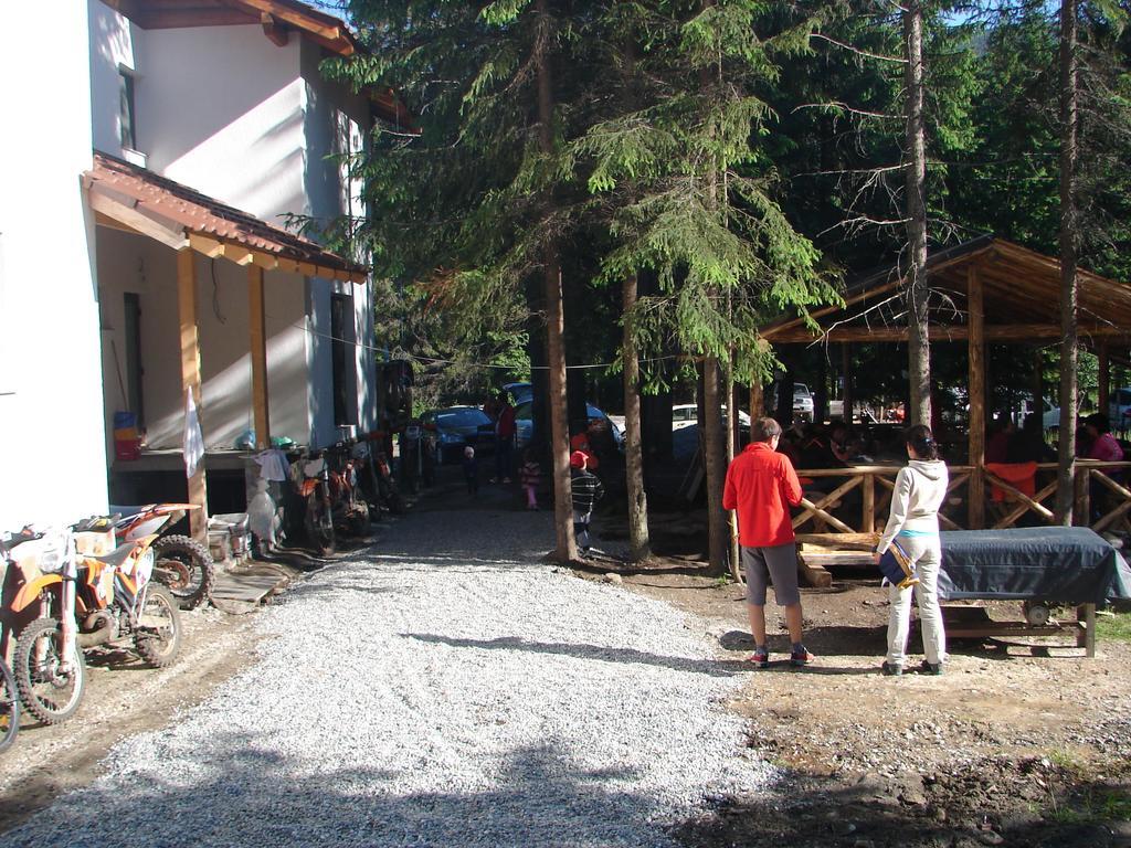 Complex Transalpina Lac Voineasa Zewnętrze zdjęcie