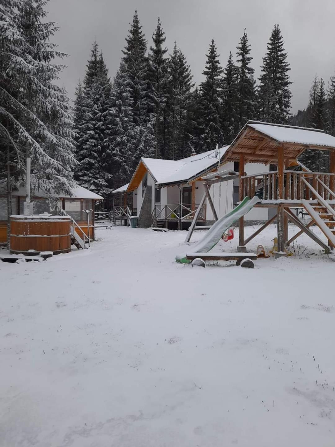 Complex Transalpina Lac Voineasa Zewnętrze zdjęcie