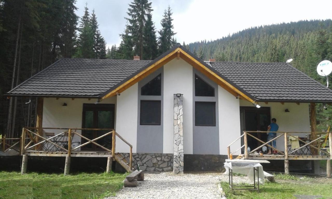 Complex Transalpina Lac Voineasa Zewnętrze zdjęcie