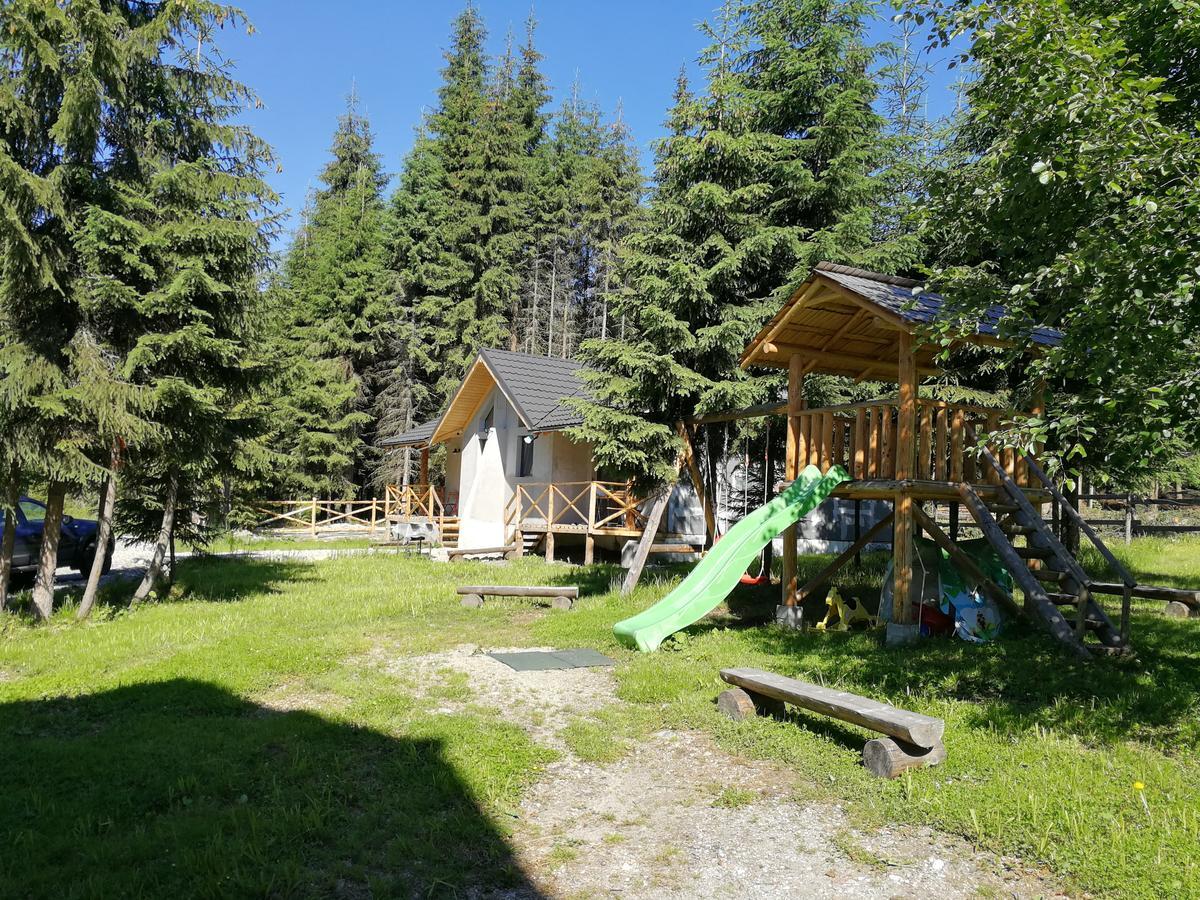 Complex Transalpina Lac Voineasa Zewnętrze zdjęcie