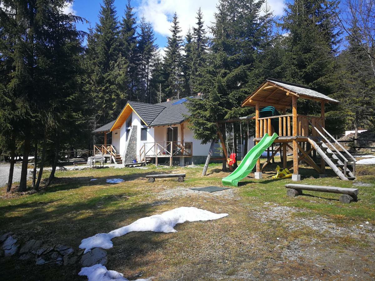 Complex Transalpina Lac Voineasa Zewnętrze zdjęcie